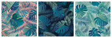 Set Of Seamless Patterns With Exotic Green Monstera Leaves And Palm Branches, Summer Tropical Backgrounds