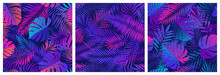 Set Of Seamless Patterns With Tropical Exotic Leaves And Plants, Vector Set In Ultraviolet Shades, With Neon Reflections Of Pink And Blue Colors