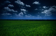 dark  stormy sky and green field - natural summer landscape