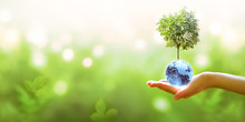 Card For World Earth Day Or Arbor Day. Blue Glass Globe Ball And Tree In Human Hand On Blurred Green Background. Saving Environment, Save, Protect Clean Planet And Ecology, Sustainable Lifestyle.