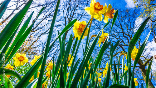Fotografía Easter background with fresh spring flowers