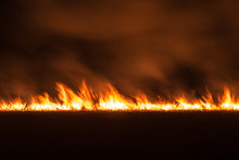 Burning Dry Field In Night