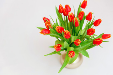 Bouquet of tulips in a vase on a light background