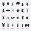 Pest Control insect black silhouette set