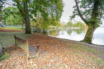 Wooden bench in the park near the lake.