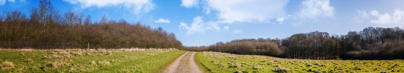 Canvas Print - Countryside road on a green field in the early spring