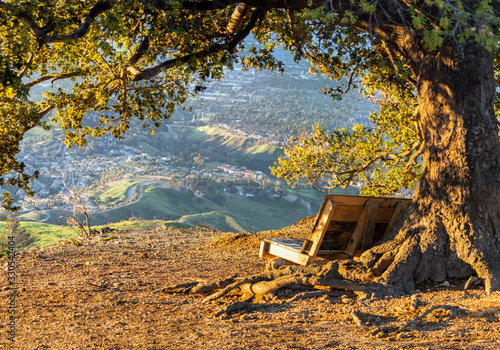 Wood bench under oak tree w...