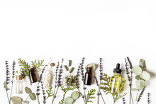 Homeopathy Eco Alternative Medicine Concept