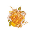 © Maria - Honeycomb, chamomile, ginger and lemon colored composition. Honey and elements engraved vintage style. Vector illustration