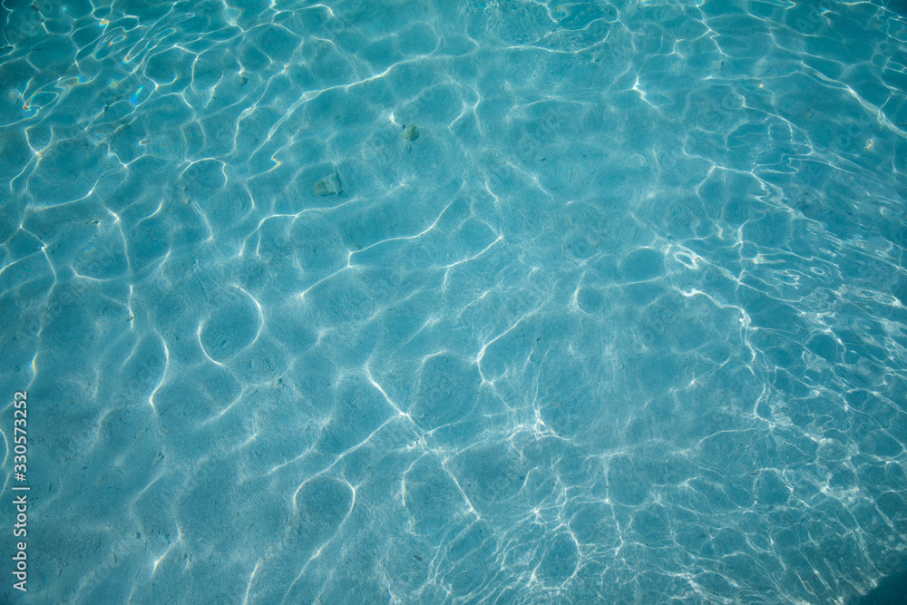 Plage soleil mer et île déserte. Palétuviers et mangrove