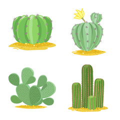 Wall Mural - Vector illustration of cacti and mexican symbol. Collection of cacti and botanical vector icon for stock.