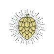 Hop icon isolated on white. Beer hop brewing emblem icon label logo, Vector illustration.