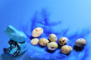 Wall Mural - Easter concept. Quail eggs and blue rabbit on blue bird feathers in trendy color on a blue background.