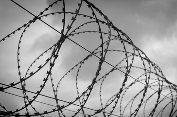 barbed wire on blue sky background