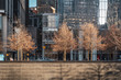 brown trees during autumn winter at the 9/11 national memorial in front of glass skyscraper. New york city wall street one world trade center