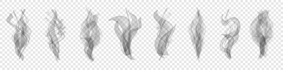 set of realistic transparent smoke or steam isolated in white and gray colors, fog and mist effect. 