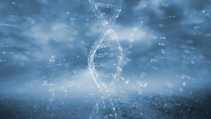 Wall Mural - dna structure rotation on artistic rural field with clouds time lapse background.