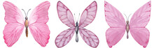Set Of Pink Butterflies. Watercolor Hand-drawn Illustration.