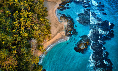 Wall Mural - Aerial drone photo of a blue tropical lagoon surrounded by white sand of an exotic beach and palm trees.