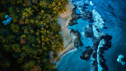 magnificent aerial shot of a blue tropic lagoon with crystal clear water surrounded by beach and pal