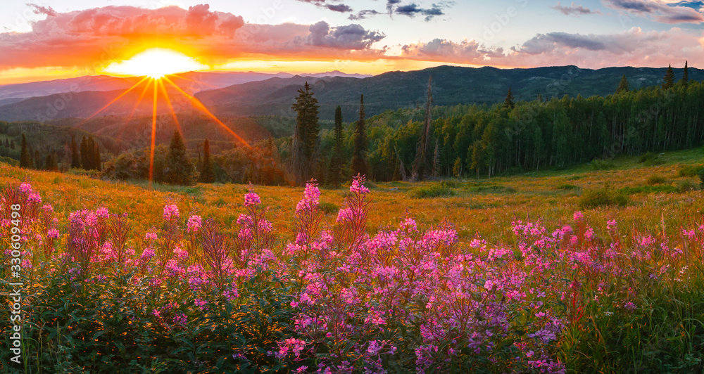 Obraz na płótnie wildflower sunset panorama in the Colorado Rockies, USA. w salonie