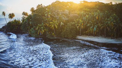 Wall Mural - Beautiful shot of a wild nature of exotic island with green palms and sand surrounded by transparent turquoise ocean water