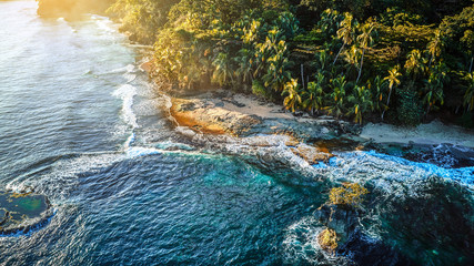 Wall Mural - Aerial photo of a sandy tropical beach with growing palm trees surrounded by blue ocean water and golden sunlight