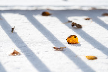 Aspen Leaves On Snow In Colorado House With Deck Railing Fence Shadow Autumn Foliage After Snowfall