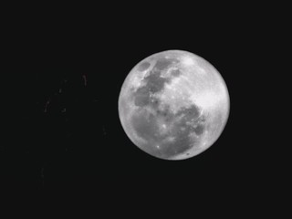 Wall Mural - full moon in the sky