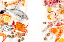 Fish And Seafood Variety, A Flat Lay Overhead Shot On White, With Copy Space. Sea Bream. Shrimps And Prawns, Crab, Sardines, And Squid, On Ice With Lemons And Limes, With A Place For Text