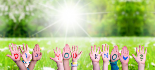 Children Hands Building Colorful Word Did You Know. Sunny Green Grass Meadow As Background