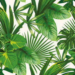 Wall Mural - Tropical green leaves seamless white background