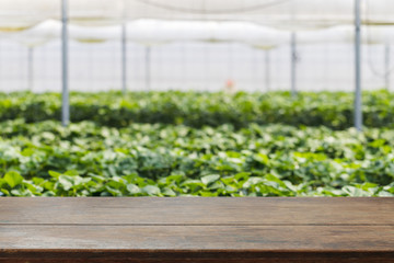 Empty wood table top and blurred greenhouses in agricultural farms. background - can used for display or montage your products.