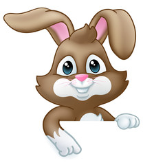 Poster - Easter bunny rabbit cartoon character peeking over a sign background and pointing down at it