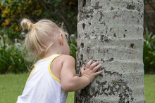 Portrait Of Adorable Toddler Girl Playing Hide And Seek In The Park, Hiding Behind A Big Tree