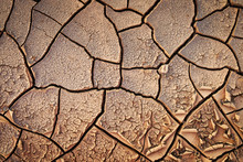 Dried Cracked Earth Soil Ground Texture Background. Mosaic Pattern Of Sunny Dried Earth Soil