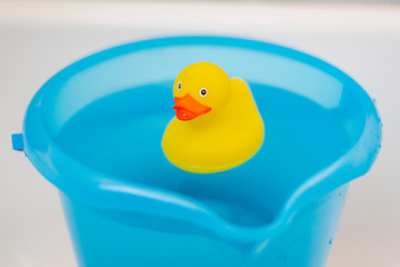 Yellow rubber duck in a blue bucket full of water 