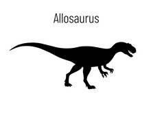 Allosaurus. Theropoda Dinosaur. Monochrome Vector Illustration Of Silhouette Of Prehistoric Creature Allosaurus Isolated On White Background. Stencil. Fossil Dinosaur.