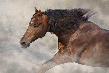 Naklejka na meble horse in winter