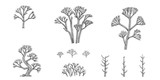 Fototapeta Storczyk - hand drawn tree vector set 