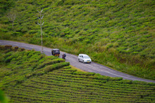 High Angle View Of Vehicles Plying On A Hilly Road In Kerala In India 