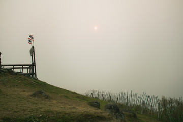 Wall Mural - the sunset in the evening and full of haze from burning forests