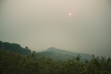 Wall Mural - the sunset in the evening and full of haze from burning forests