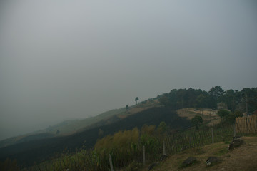 Wall Mural - the sunset in the evening and full of haze from burning forests