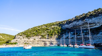 Wall Mural - sailboat at a lake