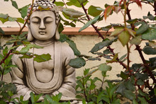 Stone Buddha Figure Among Rose Bushes After Rain
