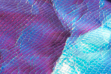 Wall Mural - Photo of a real bright crumpled holographic background with a reptile skin texture in blue toned with rays daylight.