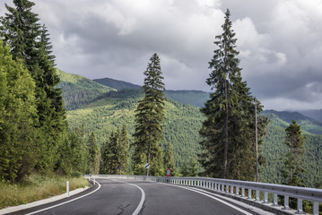 Canvas Print - Epmty road near Prislop mountain pass on border of Maramures and Bukovina regions, Romania