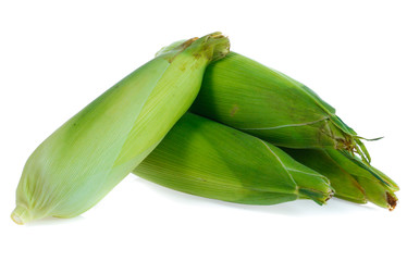 Wall Mural - Corn on white background