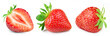 Strawberry isolated on white background. Strawberry clipping path. Strawberry berry collection. Full depth of field